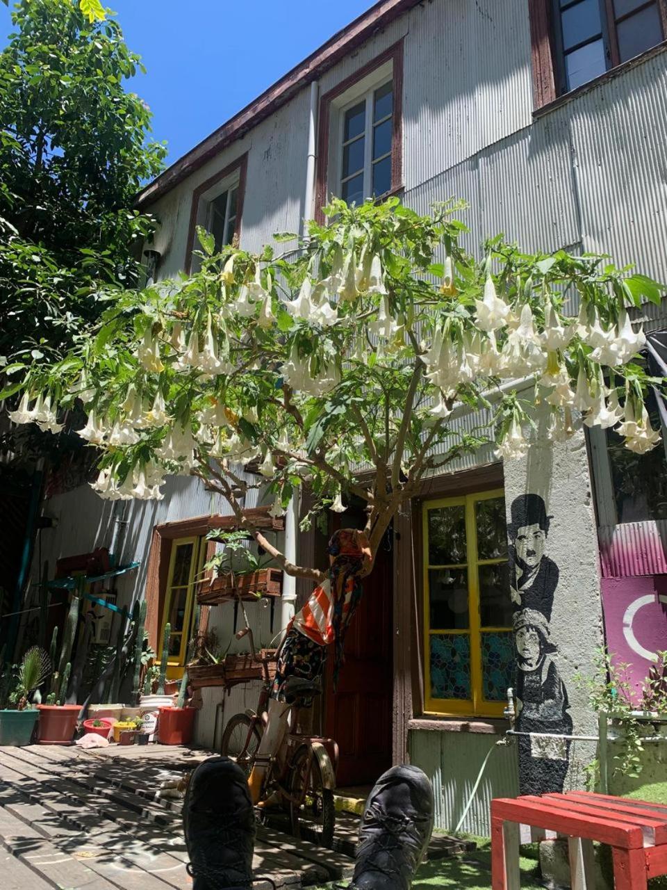Art Hostel Casa Chaman Valparaíso Eksteriør bilde